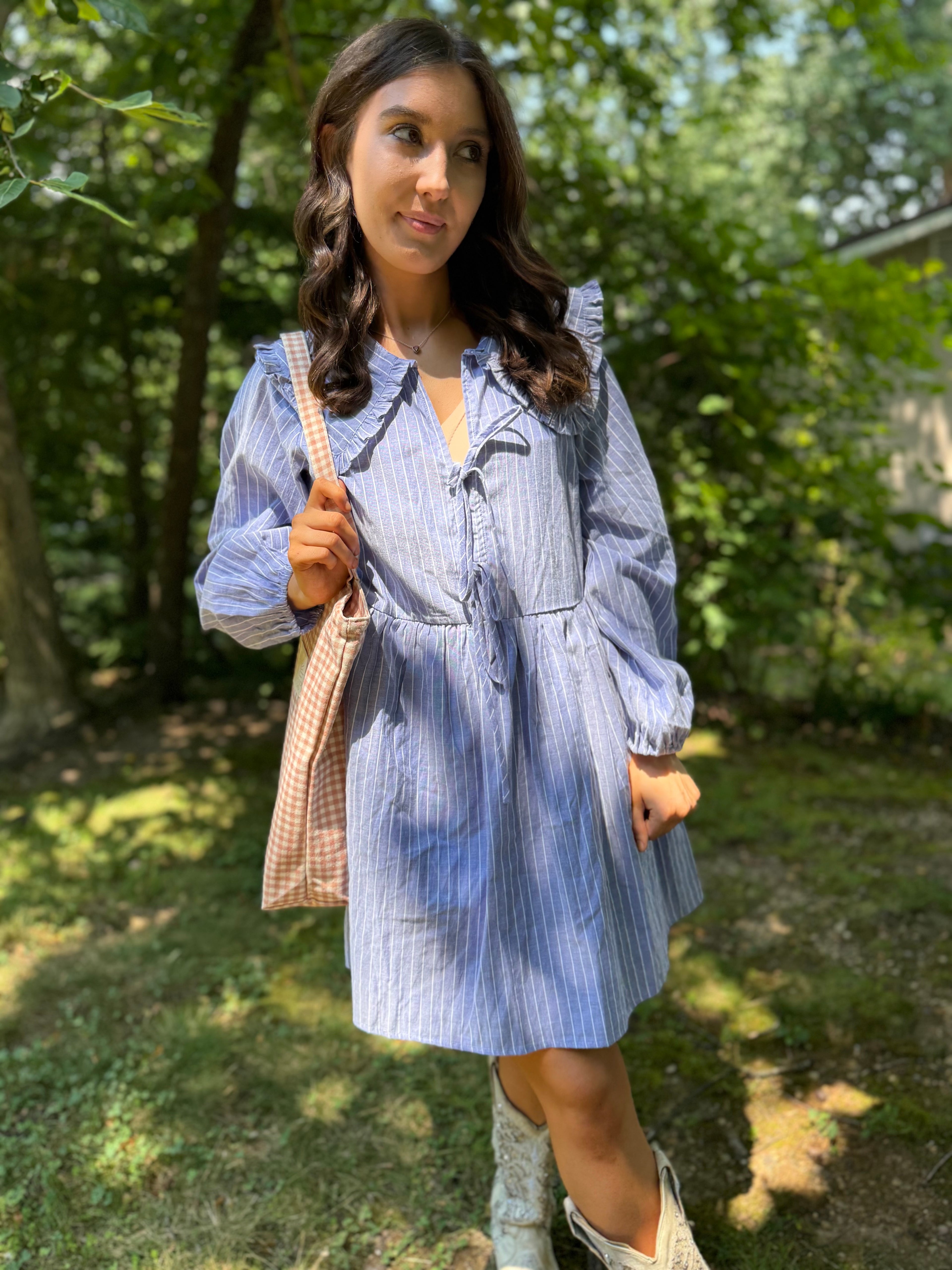 Striped Chambray Day Dress