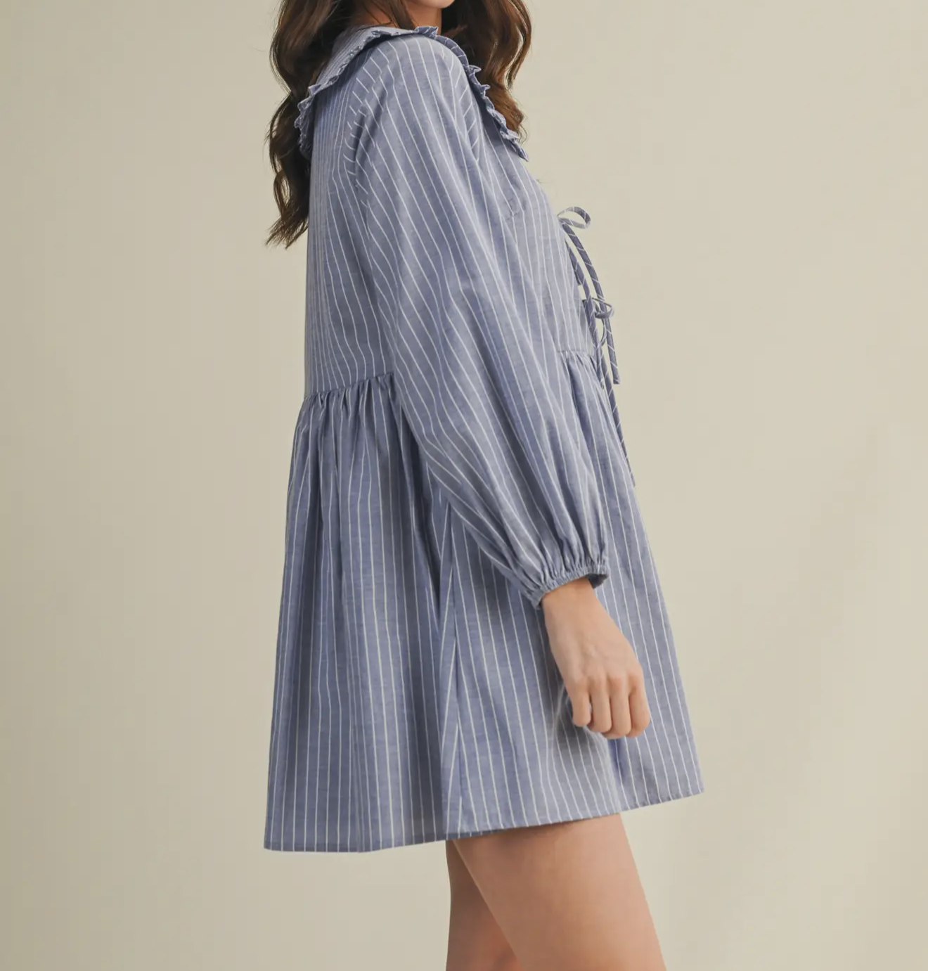 Striped Chambray Day Dress